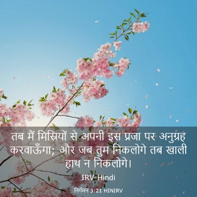Picture 03 - निर्गमन 3:21 HINIRV - तब मैं मिस्रियों - Bible Verse Picture