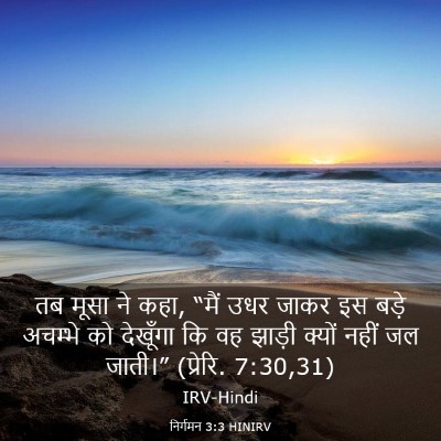Picture 03 - निर्गमन 3:3 HINIRV - तब मूसा ने कहा, - Bible Verse Picture