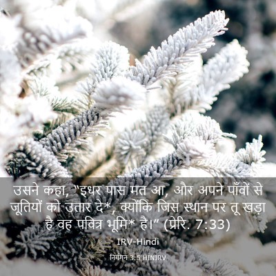 Picture 03 - निर्गमन 3:5 HINIRV - उसने कहा, “इधर पास - Bible Verse Picture