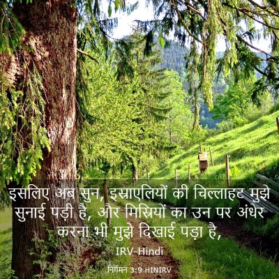 Picture 03 - निर्गमन 3:9 HINIRV - इसलिए अब सुन, - Bible Verse Picture