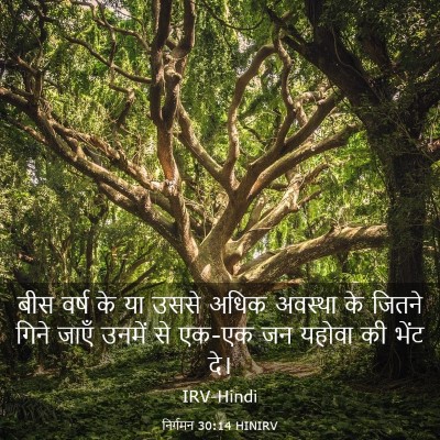 Picture 03 - निर्गमन 30:14 HINIRV - बीस वर्ष के या उससे - Bible Verse Picture