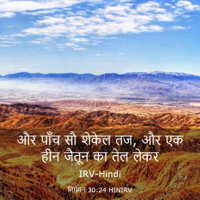 Picture 03 - निर्गमन 30:24 HINIRV - और पाँच सौ शेकेल - Bible Verse Picture