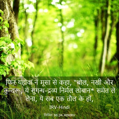 Picture 03 - निर्गमन 30:34 HINIRV - फिर यहोवा ने मूसा - Bible Verse Picture