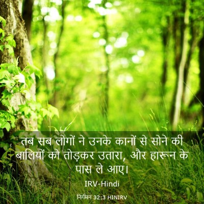 Picture 03 - निर्गमन 32:3 HINIRV - तब सब लोगों ने उनके - Bible Verse Picture