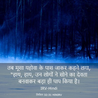Picture 03 - निर्गमन 32:31 HINIRV - तब मूसा यहोवा के - Bible Verse Picture