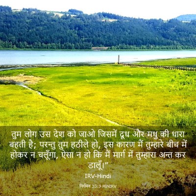 Picture 03 - निर्गमन 33:3 HINIRV - तुम लोग उस देश को - Bible Verse Picture