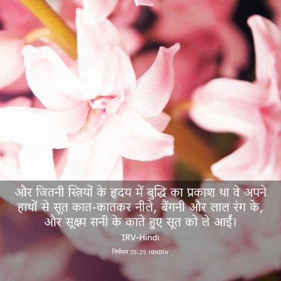 Picture 03 - निर्गमन 35:25 HINIRV - और जितनी - Bible Verse Picture