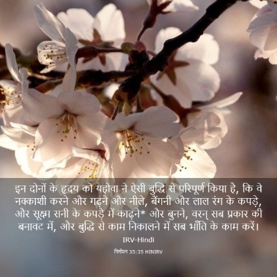 Picture 03 - निर्गमन 35:35 HINIRV - इन दोनों के हृदय को - Bible Verse Picture