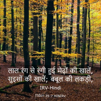 Picture 03 - निर्गमन 35:7 HINIRV - लाल रंग से रंगी हुई - Bible Verse Picture