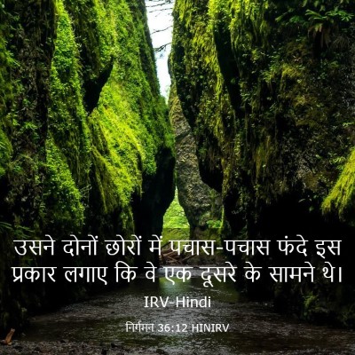 Picture 03 - निर्गमन 36:12 HINIRV - उसने दोनों छोरों - Bible Verse Picture