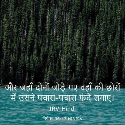 Picture 03 - निर्गमन 36:17 HINIRV - और जहाँ दोनों - Bible Verse Picture