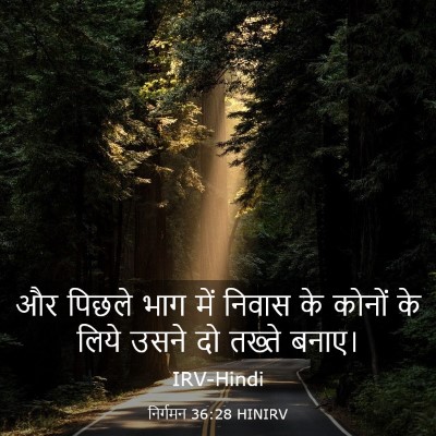 Picture 03 - निर्गमन 36:28 HINIRV - और पिछले भाग में - Bible Verse Picture