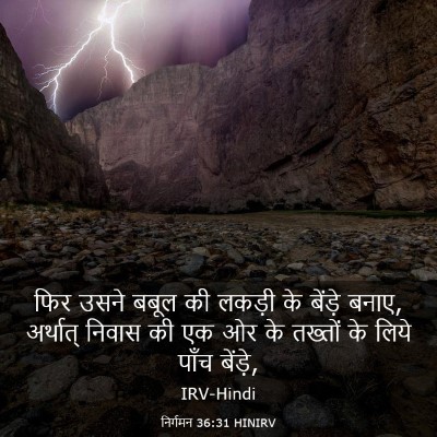 Picture 03 - निर्गमन 36:31 HINIRV - फिर उसने बबूल की - Bible Verse Picture