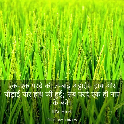 Picture 03 - निर्गमन 36:9 HINIRV - एक-एक परदे की - Bible Verse Picture