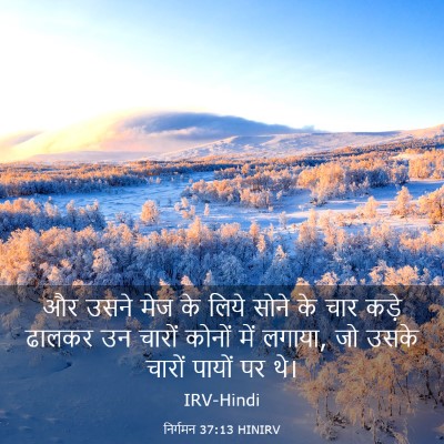 Picture 03 - निर्गमन 37:13 HINIRV - और उसने मेज के लिये - Bible Verse Picture