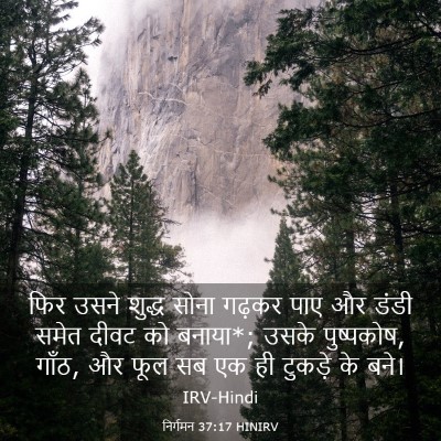Picture 03 - निर्गमन 37:17 HINIRV - फिर उसने शुद्ध - Bible Verse Picture