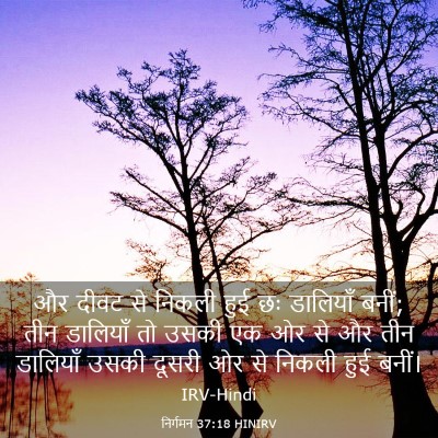 Picture 03 - निर्गमन 37:18 HINIRV - और दीवट से निकली - Bible Verse Picture
