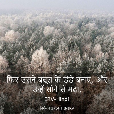 Picture 03 - निर्गमन 37:4 HINIRV - फिर उसने बबूल के - Bible Verse Picture