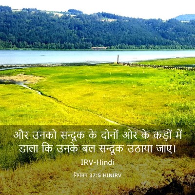 Picture 03 - निर्गमन 37:5 HINIRV - और उनको सन्दूक के - Bible Verse Picture