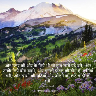 Picture 03 - निर्गमन 38:11 HINIRV - और उत्तर की ओर के - Bible Verse Picture