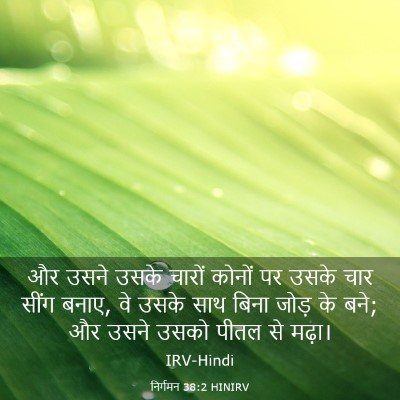 Picture 03 - निर्गमन 38:2 HINIRV - और उसने उसके चारों - Bible Verse Picture