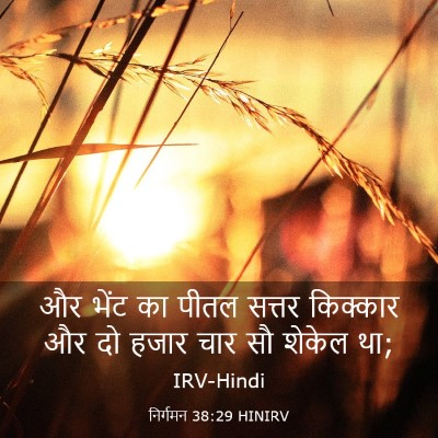 Picture 03 - निर्गमन 38:29 HINIRV - और भेंट का पीतल - Bible Verse Picture