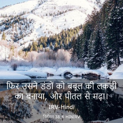 Picture 03 - निर्गमन 38:6 HINIRV - फिर उसने डंडों को - Bible Verse Picture