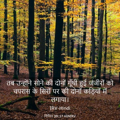 Picture 03 - निर्गमन 39:17 HINIRV - तब उन्होंने सोने - Bible Verse Picture