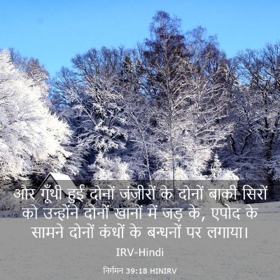 Picture 03 - निर्गमन 39:18 HINIRV - और गूँथी हुई दोनों - Bible Verse Picture