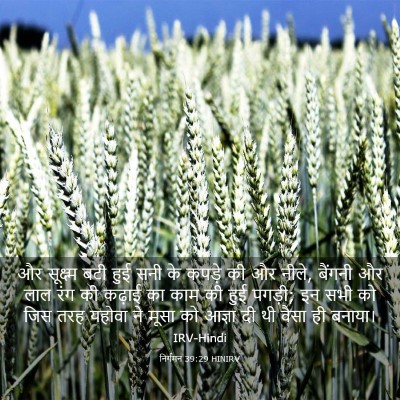 Picture 03 - निर्गमन 39:29 HINIRV - और सूक्ष्म बटी हुई - Bible Verse Picture