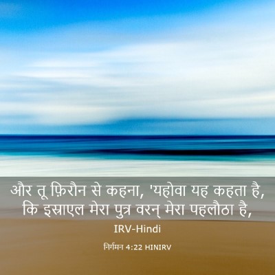 Picture 03 - निर्गमन 4:22 HINIRV - और तू फ़िरौन से - Bible Verse Picture