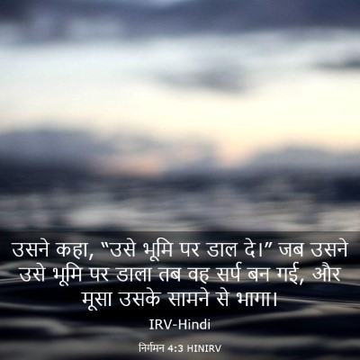 Picture 03 - निर्गमन 4:3 HINIRV - उसने कहा, “उसे भूमि - Bible Verse Picture