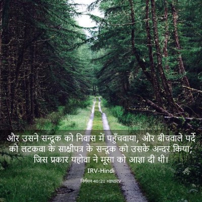 Picture 03 - निर्गमन 40:21 HINIRV - और उसने सन्दूक को - Bible Verse Picture