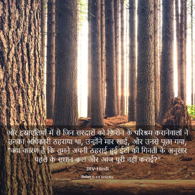 Picture 03 - निर्गमन 5:14 HINIRV - और इस्राएलियों - Bible Verse Picture