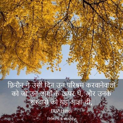 Picture 03 - निर्गमन 5:6 HINIRV - फ़िरौन ने उसी दिन - Bible Verse Picture