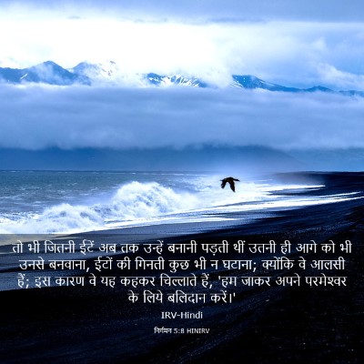 Picture 03 - निर्गमन 5:8 HINIRV - तो भी जितनी ईटें अब - Bible Verse Picture