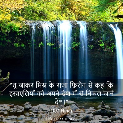 Picture 03 - निर्गमन 6:11 HINIRV - “तू जाकर मिस्र के - Bible Verse Picture