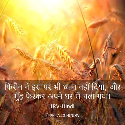 Picture 03 - निर्गमन 7:23 HINIRV - फ़िरौन ने इस पर भी - Bible Verse Picture