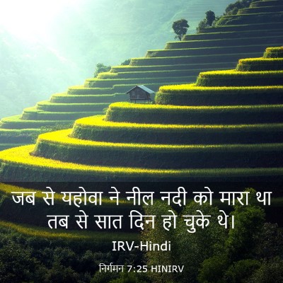 Picture 03 - निर्गमन 7:25 HINIRV - जब से यहोवा ने नील - Bible Verse Picture