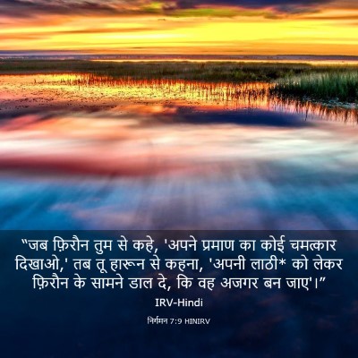 Picture 03 - निर्गमन 7:9 HINIRV - “जब फ़िरौन तुम से - Bible Verse Picture