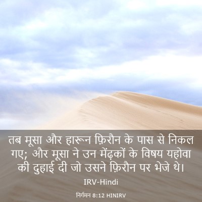Picture 03 - निर्गमन 8:12 HINIRV - तब मूसा और हारून - Bible Verse Picture