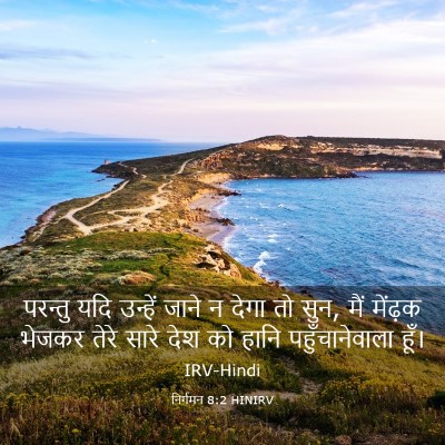 Picture 03 - निर्गमन 8:2 HINIRV - परन्तु यदि उन्हें - Bible Verse Picture