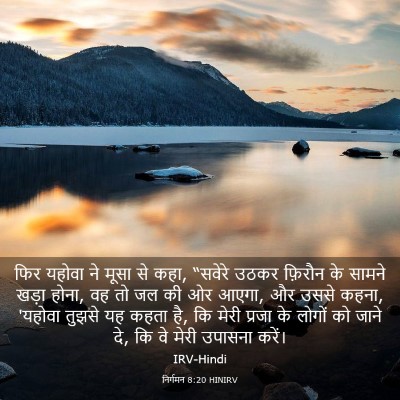 Picture 03 - निर्गमन 8:20 HINIRV - फिर यहोवा ने मूसा - Bible Verse Picture