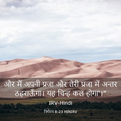 Picture 03 - निर्गमन 8:23 HINIRV - और मैं अपनी प्रजा - Bible Verse Picture