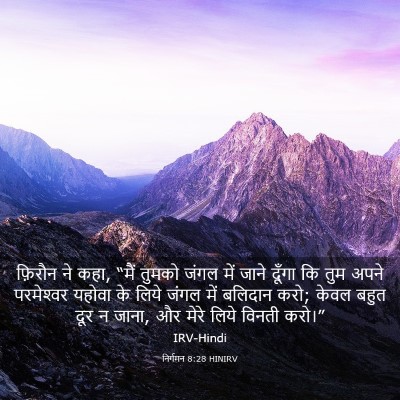 Picture 03 - निर्गमन 8:28 HINIRV - फ़िरौन ने कहा, “मैं - Bible Verse Picture