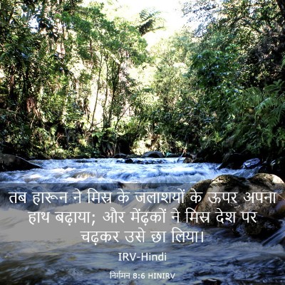 Picture 03 - निर्गमन 8:6 HINIRV - तब हारून ने मिस्र - Bible Verse Picture