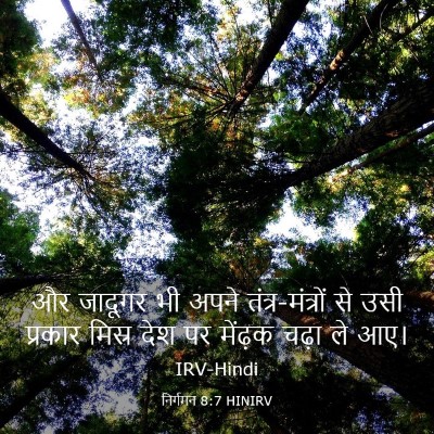 Picture 03 - निर्गमन 8:7 HINIRV - और जादूगर भी अपने - Bible Verse Picture