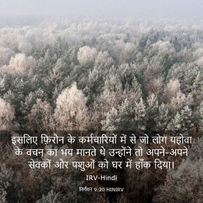 Picture 03 - निर्गमन 9:20 HINIRV - इसलिए फ़िरौन के - Bible Verse Picture