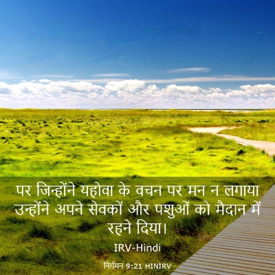 Picture 03 - निर्गमन 9:21 HINIRV - पर जिन्होंने - Bible Verse Picture