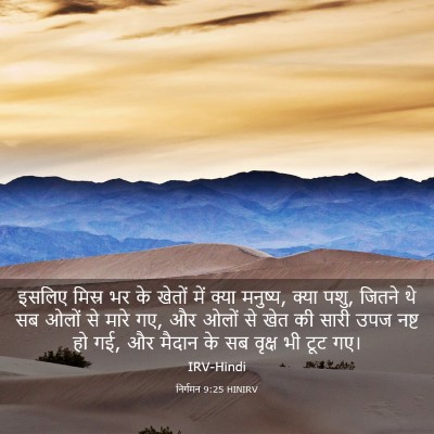 Picture 03 - निर्गमन 9:25 HINIRV - इसलिए मिस्र भर के - Bible Verse Picture
